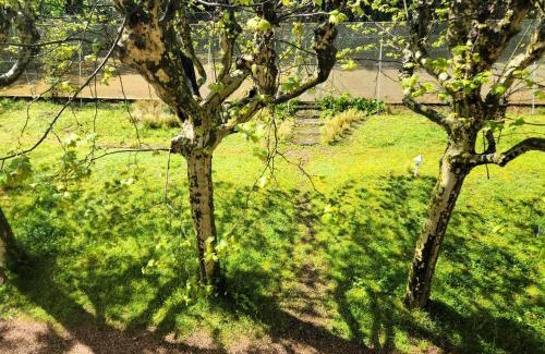 Vancia - Crepieux Bed & Breakfast | Discover Villa Castel: Oceanfront Haven with Pool & Dining