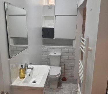 Thornton Heath House | Parchmore House