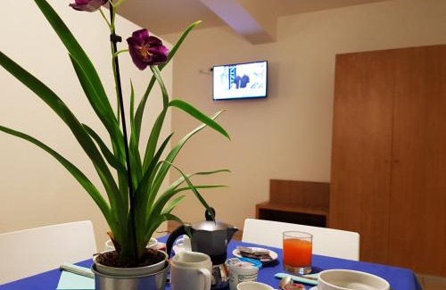 Punta Braccetto Hotel | Pet-Friendly Retreat with Ocean Views at Parco Della Rocca