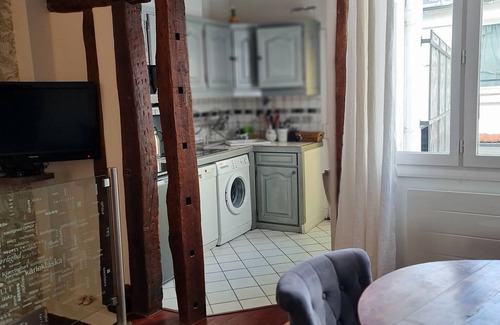 Quartier de la Monnaie Apartment | Discover a Quiet Terrace in Paris' Latin Quarter