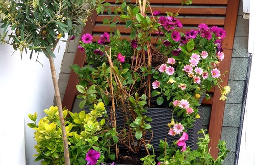 Quartier de la Monnaie Apartment | Discover a Quiet Terrace in Paris' Latin Quarter