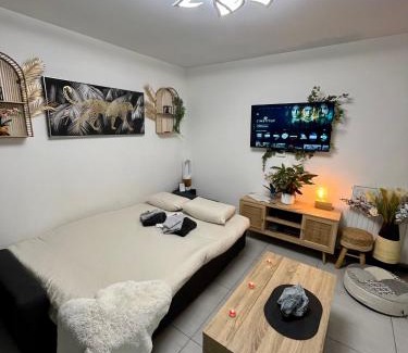 Romainville Apartment | Paris Studio Cosy luxe avec jardin Proche métro