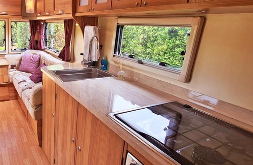New Forest District House | Pet-Friendly Retreat at Park Farm Touring Caravan, New Forest