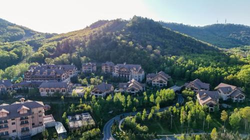 Changbai Mountain West Slope Hotel | Elegant Park Hyatt Changbaishan: Spa, Pool & Top Ratings