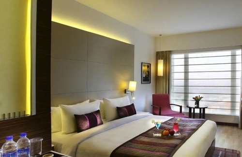 Delhi Hotel | Discover Park Plaza Delhi CBD Shahdara with Pool & Spa