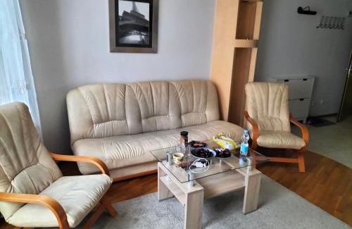 Oborniki Slaskie Apartment | Pet-Friendly Park Studio: Ideal for Families and Travelers