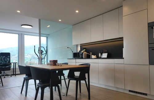 Zug Apartment | Beautiful Park Tower City View Apartments with Kitchen Access