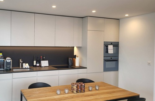 Zug Apartment | Beautiful Park Tower City View Apartments with Kitchen Access