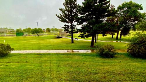 Hoisington Hotel | Relax at Park View Inn & Suites: Pet Friendly Oceanfront Stay