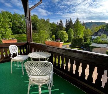 Bad Salzig Apartment | Park Villa: Central Oasis with Ocean Views Near Mittelrhein