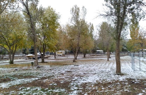 Beaver RV Rental | Park your RV in a 1 acre yard where mule deer and wild turkeys roam daily.