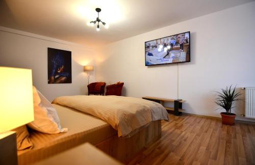 Fagaras Apartment | Park32: Family-Friendly Hotel with Perfect 10 Review Score