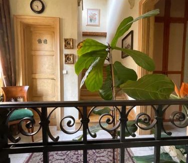 Viranyos Apartment | Pet-Friendly Parkview Villa Apartment for Your Getaway