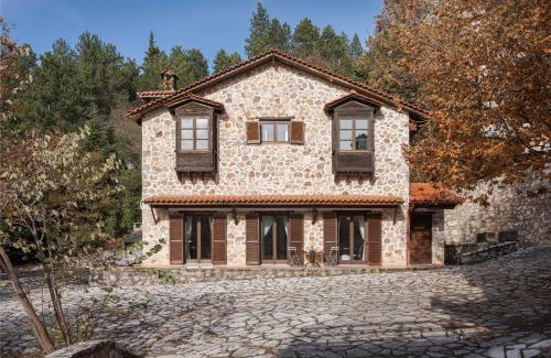 Amfikleia-Elateia Ski Chalet | Discover Parnassus Woodstone Chalet: Family-Friendly Retreat
