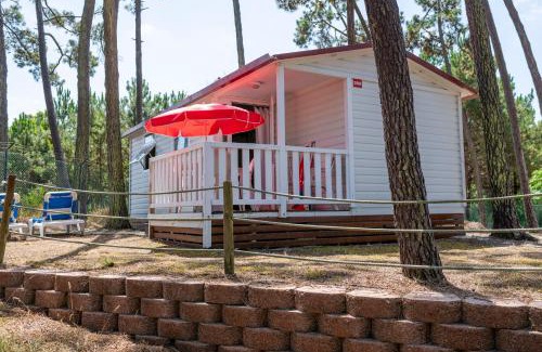 Cacia Other | Family-Friendly Orbitur Sao Jacinto with Breakfast Included