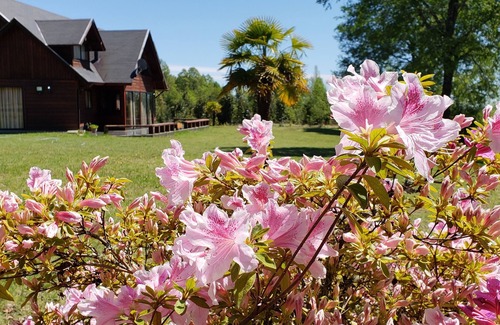 Villarrica House | Discover Parque Los Arrayanes: Oceanfront Retreat Awaits