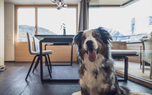 Meierhof Apartment | Experience Comfort at Parsenn Resort - 4-Star Excellence