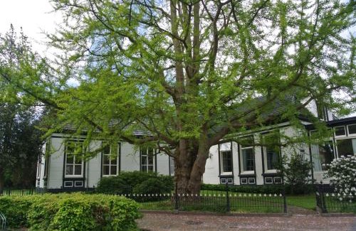 Zuidhorn Bed & Breakfast | Experience Pastorie Tijdverblijf: Guest Rated 10/10 Stay