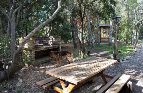 Playa Bonita Cabin | Discover Oceanfront Comfort at Patagonia Sin Fronteras