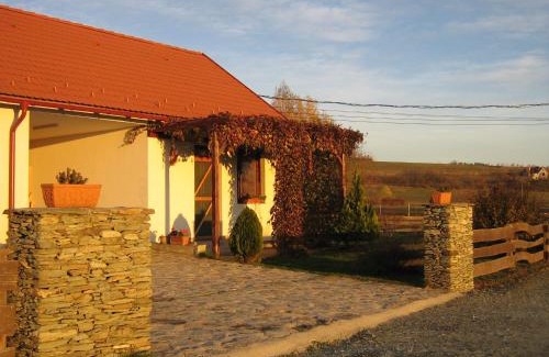 Bozsok Apartment | Pet-Friendly Patakparti Apartman with Breakfast & Kitchen