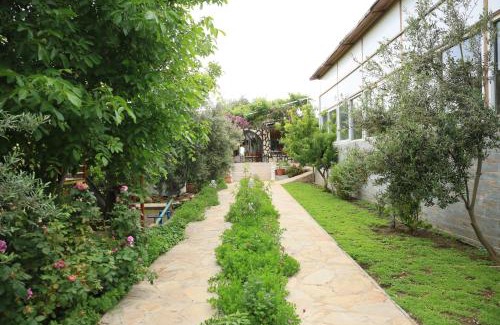 Patara Apartment | Discover Patara Evleri: Oceanfront Bliss with Pool & Beach