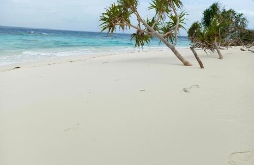 Mimaropa Other | Family-Friendly Getaway at Patawan Island Resort
