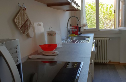Molina Apartment | Patch of Eden