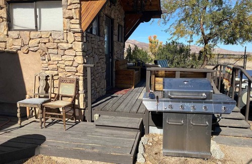 Ocotillo House | Pet-Friendly Oasis with Private Pool - Patch of Grass Ocotillo