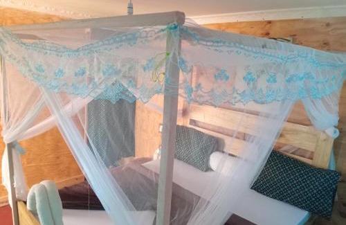 Arusha Bed & Breakfast | Patience Airport cottages