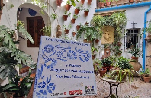 San Lorenzo Apartment | Discover Family Friendly Comfort at Patio El Pacífico