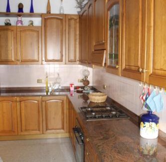 Belluno Apartment | Pet-Friendly Patrick's House: Highly Rated Family Retreat