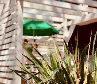 Szentendrei House | Discover Nadi's Holiday Home - Nature Retreat on Szentendre Island