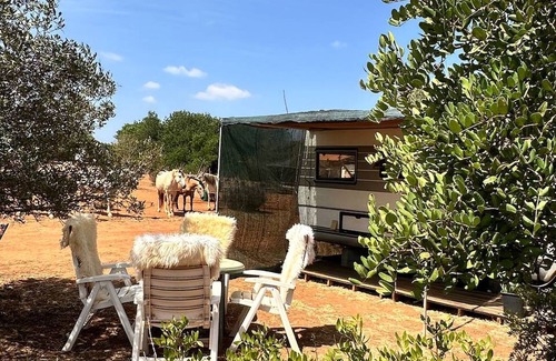 Lagos House | Pauls caravan for 4 - See the horses from your bed