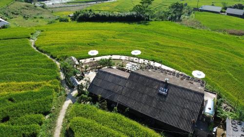 Hau Thao House | Pet-Friendly Pavi Garden with Ocean View and Top Ratings