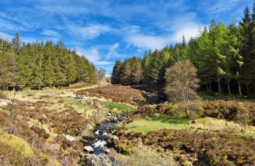 Newton Stewart House | Tranquil Stay at Peace - 4-Star Pet & Child Friendly Hotel