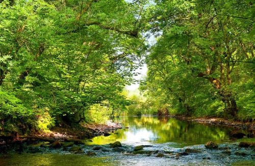 Newton Stewart House | Tranquil Stay at Peace - 4-Star Pet & Child Friendly Hotel