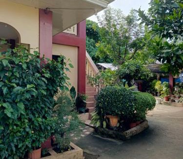 Tawala Apartment | Oceanfront Peace Lily Studio Apartments in Panglao