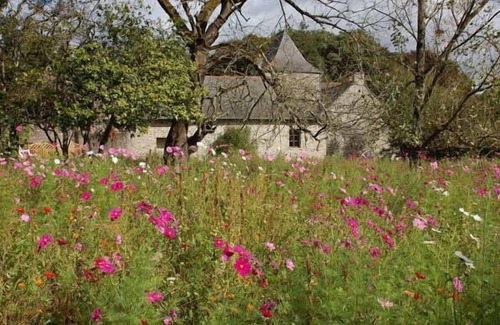 Comblessac House | Historic Retreat: Peace and Privacy in a Magical Setting