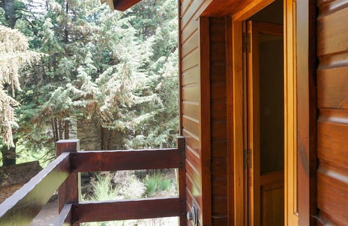 Lanin National Park Cabin | Tranquil Cabin Retreat Surrounded by Nature's Beauty