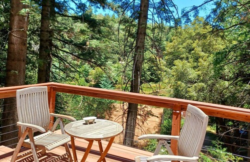 Palomar Mountain Cabin | Serene 1920s Cabin Amidst Majestic Pines with Spa Amenities
