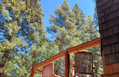 Palomar Mountain Cabin | Serene 1920s Cabin Amidst Majestic Pines with Spa Amenities
