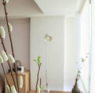 Pinang Apartment | Tranquil 1BR Japanese Apartment with Pool & Family-Friendly