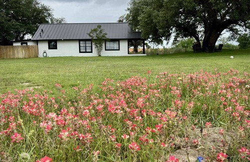 Von Ormy House | Serene 4-Bedroom Retreat on Expansive 40 Acres