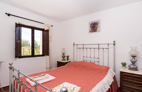 Santiago do Cacem Other | Tranquil Animal Farm with a Magical Starlit Sky
