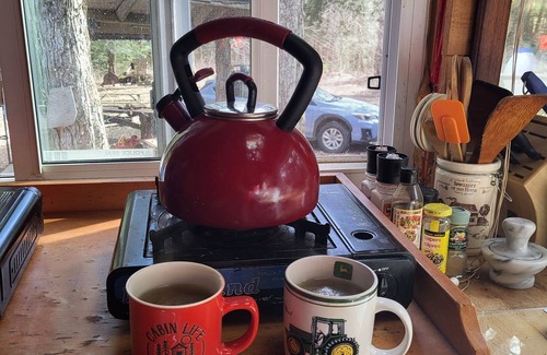 Baysville Cabin | Peaceful Cabin in the Woods near lake, wildlife. Hike, swim, fish and boat.