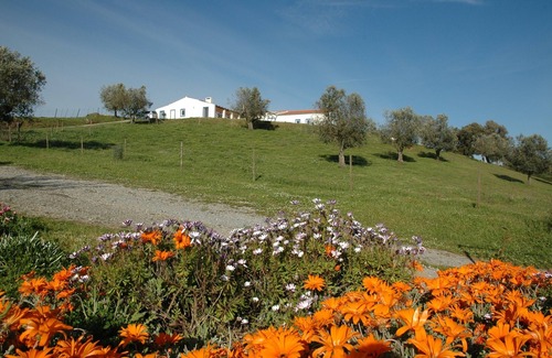 Santiago do Escoural House | Idyllic Country Retreat with Pool in Wine Region, Rated 10/10