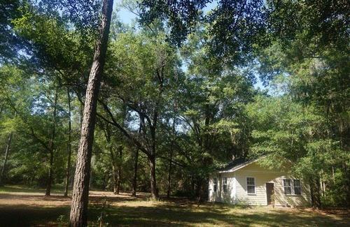 Alachua Cottage | Idyllic Cottage Getaway in Alachua, Florida - 10/10 Rated!
