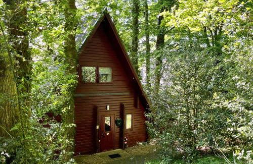 Liverton Apartment | Tranquil Cowslip Lodge: A 4-Star Oceanfront Haven