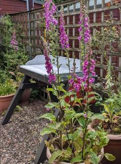 Peebles House | Idyllic Retreat in Peebles: Guest Rated 9.8/10