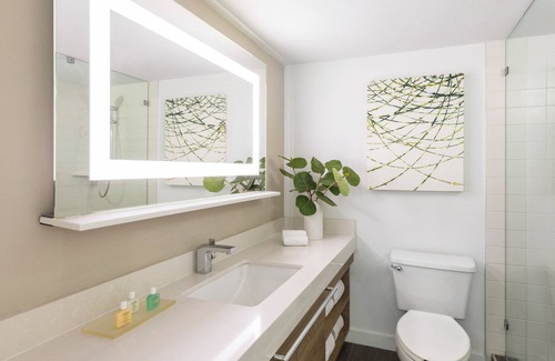 Islamorada Hotel | Peaceful Mornings in Islamorada! Swimming Pool, Beach, Pet-friendly!